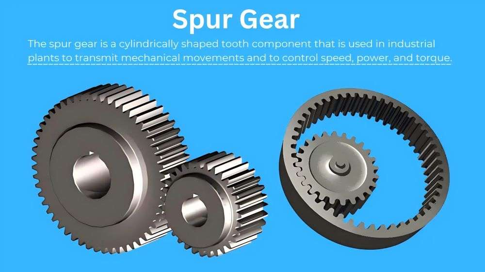 spur gear