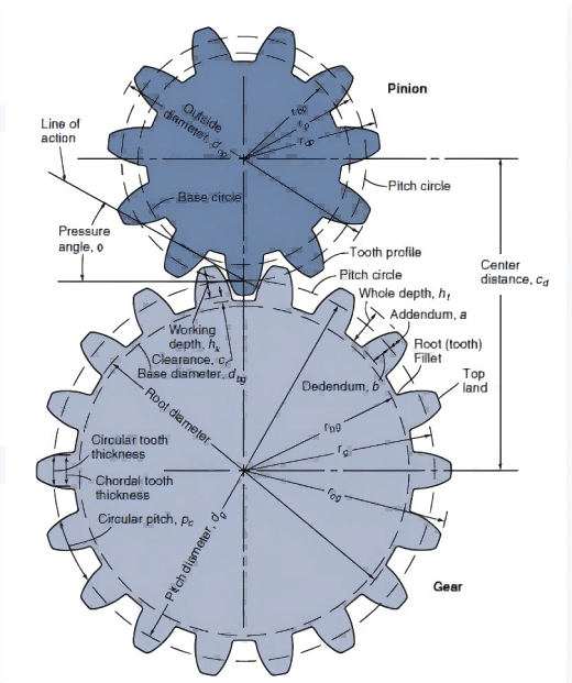 Spur Gears