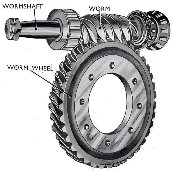 Gear Chamfering Machine，Worm Gears