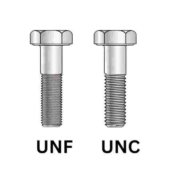 UNF VS UNC