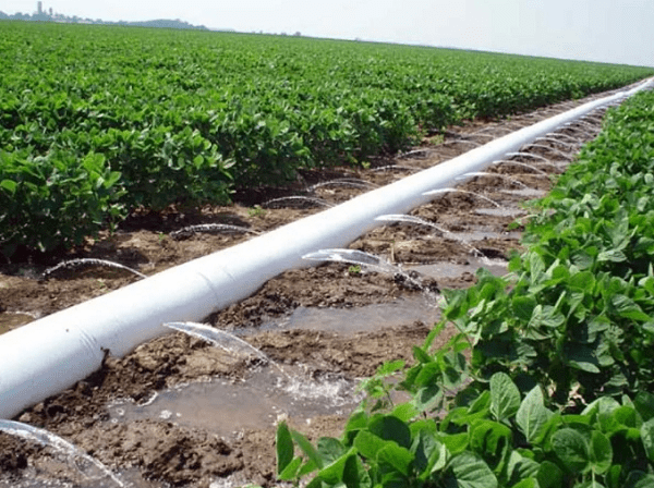 Irrigation and Agriculture