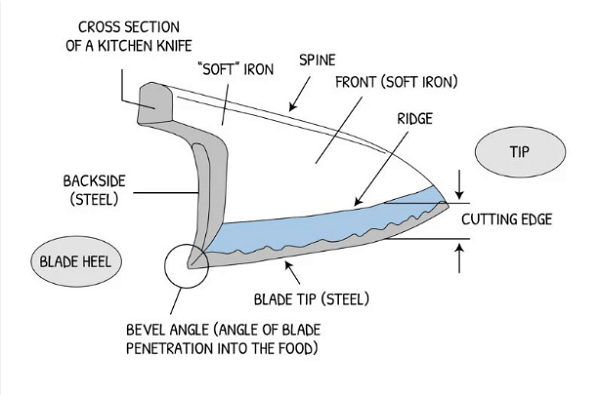 Bevel Application-Blades and knives